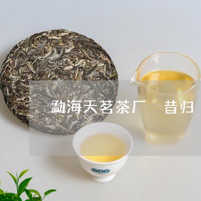 勐海天茗茶厂 昔归/2023031826471